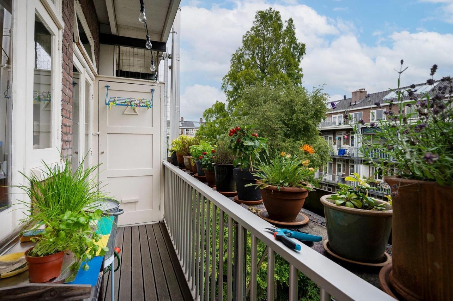 Apartment Sandra Amsterdam Buitenkant foto